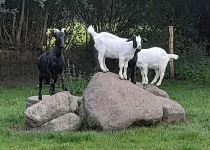 Apartmán Mareike Hanerau-Hademarschen
