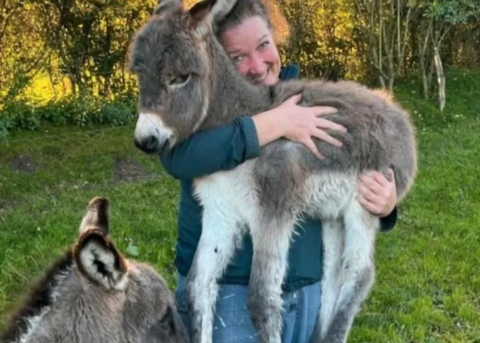 Mareike * Hanerau-Hademarschen