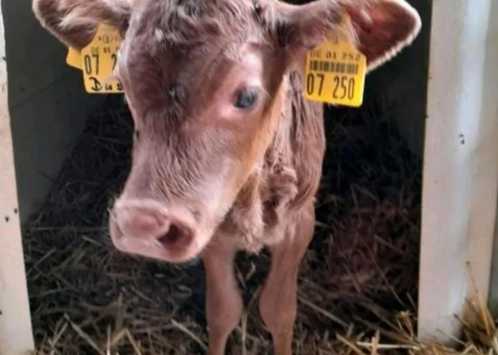 Mareike Hanerau-Hademarschen